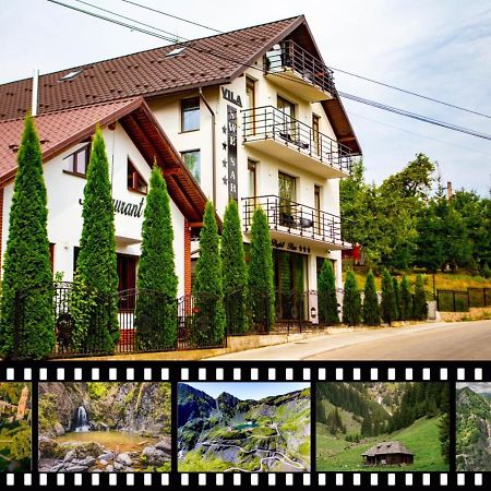 Vila Swe Sar Hotell Curtea de Argeş Exteriör bild